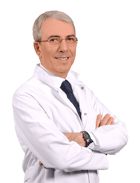 Prof. Dr. A. Bülent Oktay